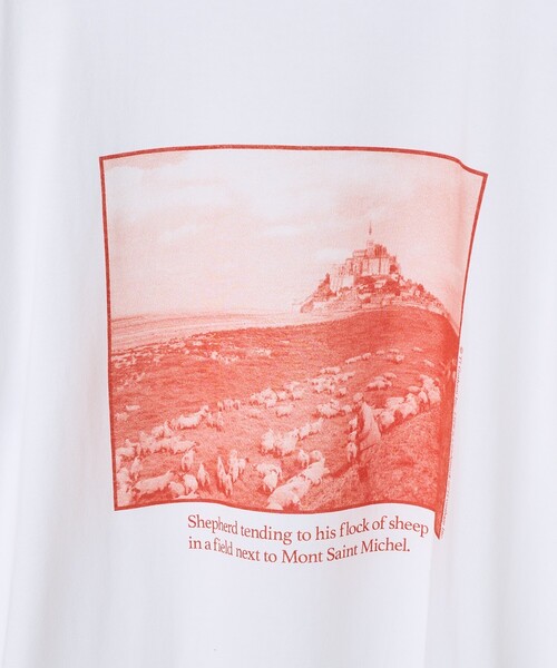 FREAK'S STORE(フリークスストア)の「カラーワントーン フォトTシャツ(Tシャツ/カットソー・レディース・オフホワイト/ホワイト・フリ-)」の6枚目の写真