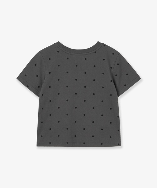 WEB LOGO DOT CROP T-SHIRTS [CREAM] – aeae JAPAN