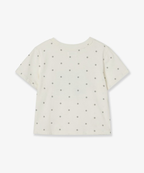 WEB LOGO DOT CROP T-SHIRTS（Tシャツ/カットソー）｜aeae