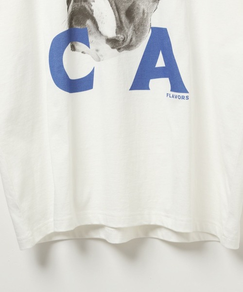 BAYFLOW（ベイフロー）の「ドッグフェイスデザインTシャツ（Tシャツ/カットソー・メンズ・ブラック/ホワイト・LARGE/MEDIUM）」の11枚目の写真