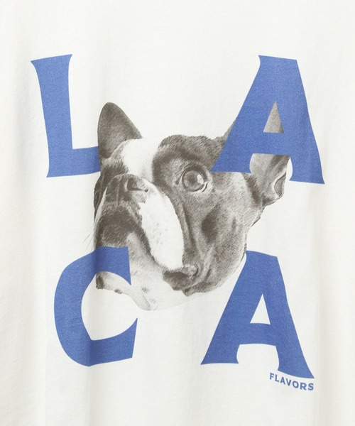 BAYFLOW（ベイフロー）の「ドッグフェイスデザインTシャツ（Tシャツ/カットソー・メンズ・ブラック/ホワイト・LARGE/MEDIUM）」の13枚目の写真