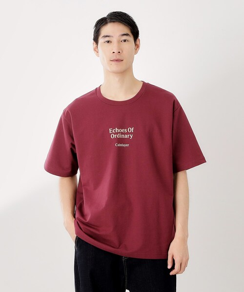 THE SHOP TK (ザ ショップ ティーケー )の「裏配色5分袖プルオーバー(Tシャツ/カットソー・メンズ・オフホワイト/ボルドー・02/03/04)」の3枚目の写真