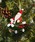 studio CLIP�i�X�^�f�B�I�N���b�v�j�́u�u���L�I�[�i�����g��s�@ [CHRISTMAS 2025]�i�C���e���A�G�݁j�v�b���̑�1