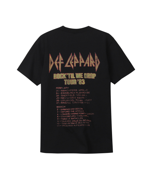 Bravado（ブラヴァド）の「DL TOUR 1983 (BRENT2007)（Tシャツ/カットソー・メンズ・その他・M/L/XL/XXL）」の2枚目の写真
