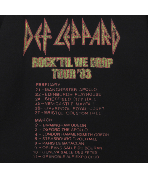 Bravado（ブラヴァド）の「DL TOUR 1983 (BRENT2007)（Tシャツ/カットソー・メンズ・その他・M/L/XL/XXL）」の4枚目の写真
