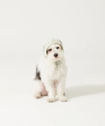 AOPT（アオプト）の「FISHNET MINI BONNET - GREEN（ペットウェア）」