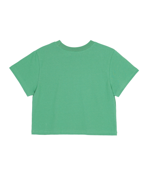 HIGH SCHOOL DISCO(ハイスクールディスコ)の「ドルフィングラフィッククロップTシャツグリーン(Tシャツ/カットソー・レディース・その他・FREE)」の2枚目の写真