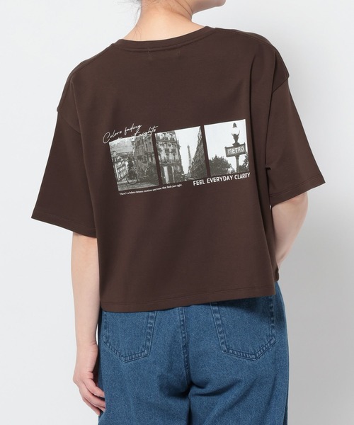 LAKOLE(ラコレ)の「アソートフォトプリントT / 660025(Tシャツ/カットソー・レディース・ホワイト/ブラウン/オフホワイト/チャコール・FREE)」の17枚目の写真