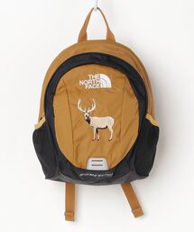 THE NORTH FACE | THE NORTH FACE K HOMESLICE / ザ・ノース・フェイス キッズ ホームスライス(バックパック/リュック)