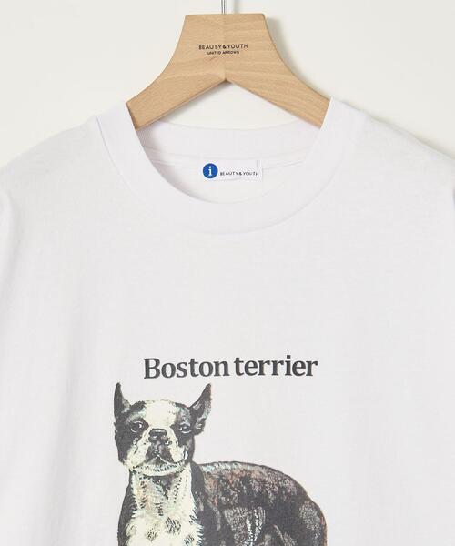 info. BEAUTY&YOUTH（インフォビューティアンドユース）の「【WEB限定】＜info. BEAUTY&YOUTH＞ ドッグ プリント カットソー（Tシャツ/カットソー・メンズ・その他3/その他2/その他1・S/M/L）」の5枚目の写真