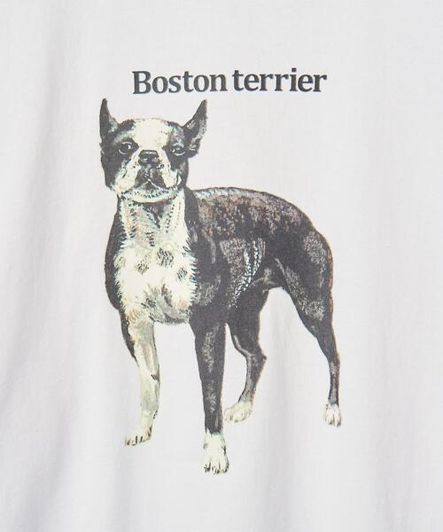 info. BEAUTY&YOUTH（インフォビューティアンドユース）の「【WEB限定】＜info. BEAUTY&YOUTH＞ ドッグ プリント カットソー（Tシャツ/カットソー・メンズ・その他3/その他2/その他1・S/M/L）」の8枚目の写真