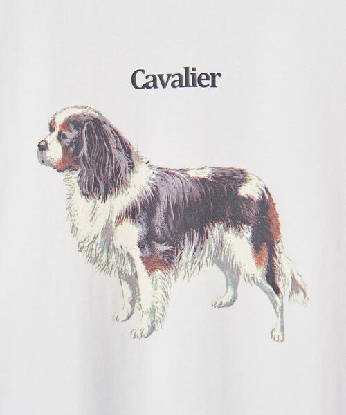 info. BEAUTY&YOUTH（インフォビューティアンドユース）の「【WEB限定】＜info. BEAUTY&YOUTH＞ ドッグ プリント カットソー（Tシャツ/カットソー・メンズ・その他3/その他2/その他1・S/M/L）」の10枚目の写真