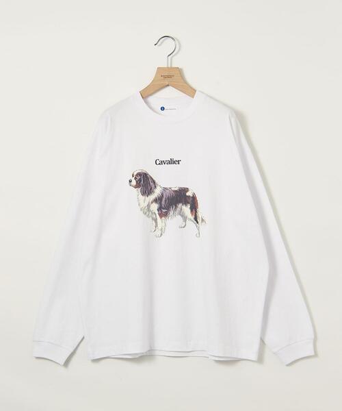 info. BEAUTY&YOUTH（インフォビューティアンドユース）の「【WEB限定】＜info. BEAUTY&YOUTH＞ ドッグ プリント カットソー（Tシャツ/カットソー・メンズ・その他3/その他2/その他1・S/M/L）」の12枚目の写真