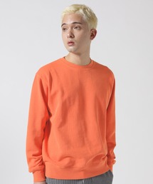 AVIREX(ABbNX)́sDAILY/fC[tFADE WASH CREW NECK SWEAT / tF[h EHbV N[lbN XEFbg / AVIREX / ABbNX(XEFbg)