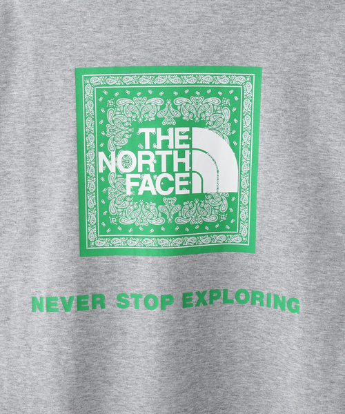 THE NORTH FACE(ザノースフェイス)の「《WEB限定》【THE NORTH FACE / ザ ノースフェイス】S/S Bandana Square Logo T(Tシャツ/カットソー・メンズ・ホワイト/ブラック/サックスブルー/チャコールグレー・LARGE/X-LARGE/MEDIUM)」の11枚目の写真