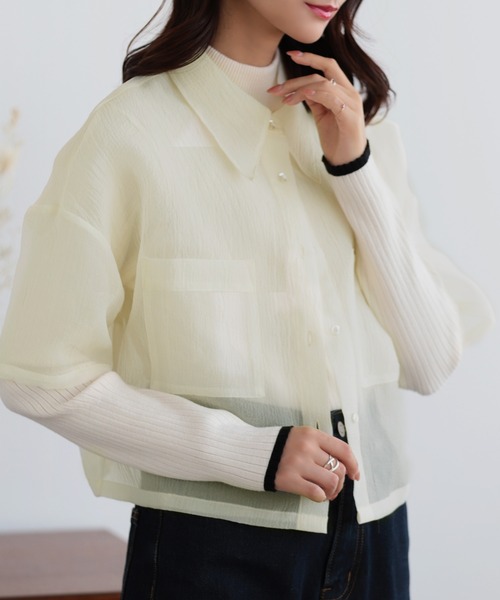 nouvellemoi(ヌーベルモイ)の「ショート丈シアーシャツ(シャツ/ブラウス・レディース・ブラック/グレー/ナチュラル・M)」の1枚目の写真