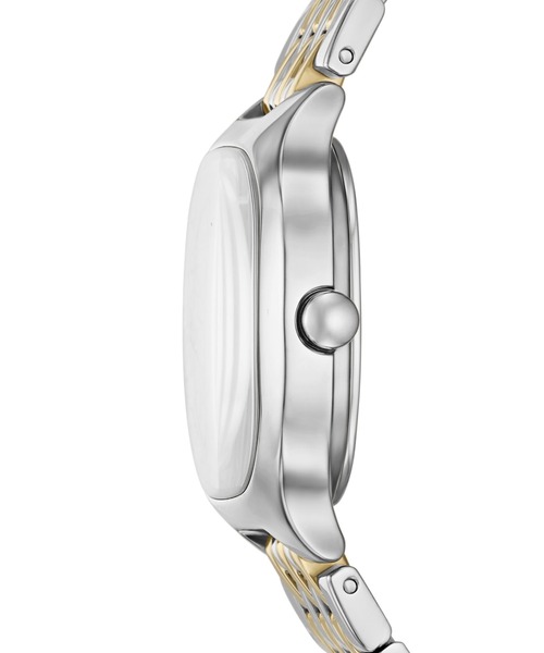 SKAGEN(スカーゲン)の「スカーゲン 腕時計 レディース アナログ ステンレス SKW3160(アナログ腕時計・レディース・マルチ・FREE)」の2枚目の写真