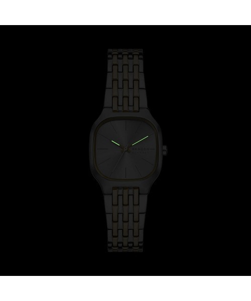 SKAGEN(スカーゲン)の「スカーゲン 腕時計 レディース アナログ ステンレス SKW3160(アナログ腕時計・レディース・マルチ・FREE)」の13枚目の写真