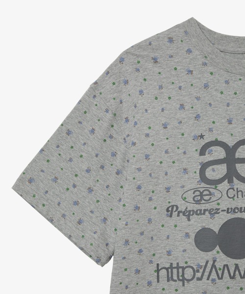 aeae(エーイーエーイー)の「WEB LOGO T-SHIRTS(Tシャツ/カットソー・レディース・クリーム/チャコールグレー・SMALL/MEDIUM)」の17枚目の写真