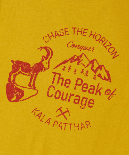 KALAPATTHAR（カラパタール）の「BACK DEER GRAPHIC SHORT-SLEEVED T-SHIRT - YELLOW（Tシャツ/カットソー・メンズ・その他・LARGE/X-LARGE/MEDIUM）」の7枚目の写真