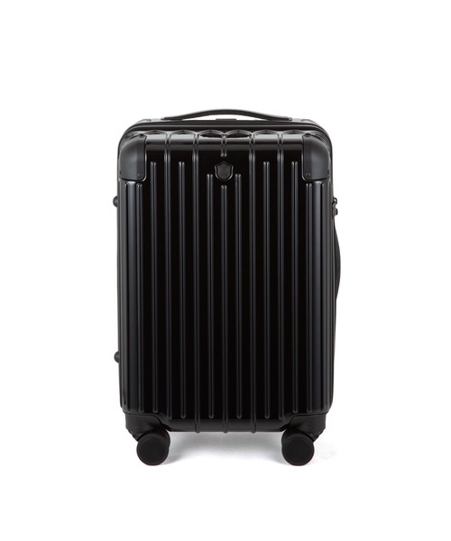 ACE(エース)の「【WEB限定】アルカペル ブレッザ スーツケース 機内持ち込み 33L 09001(スーツケース/キャリーバッグ・メンズ・グリーン/シルバー/ブラック・FREE)」の21枚目の写真