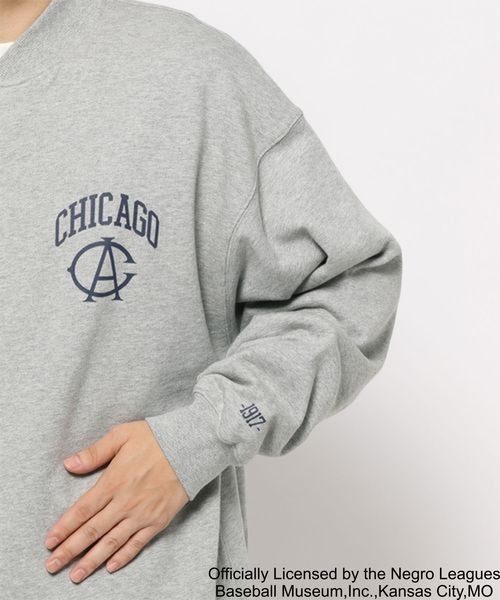 LOWRYS FARM(ローリーズファーム)の「ニグロリーグスタジャン 157820(スタジャン・メンズ・ブラック/グレー・MEDIUM/LARGE)」の21枚目の写真