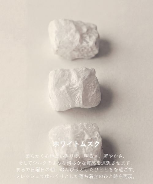 Maison Margiela Fragrances(メゾン マルジェラ フレグランス)の「レプリカ オードトワレ レイジーサンデー モーニング (10mL)(香水・レディース・その他・FREE)」の10枚目の写真