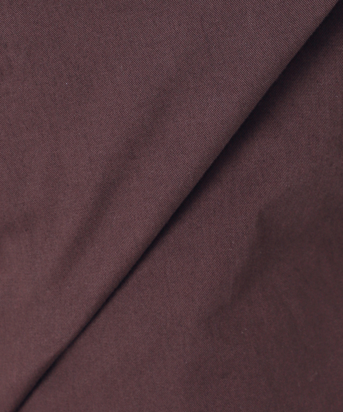 FRAMeWORK（フレームワーク）の「LIGHT CHINO クロップドパンツ（チノパンツ・レディース・ブラウン/ベージュ・36/38/40）」の5枚目の写真