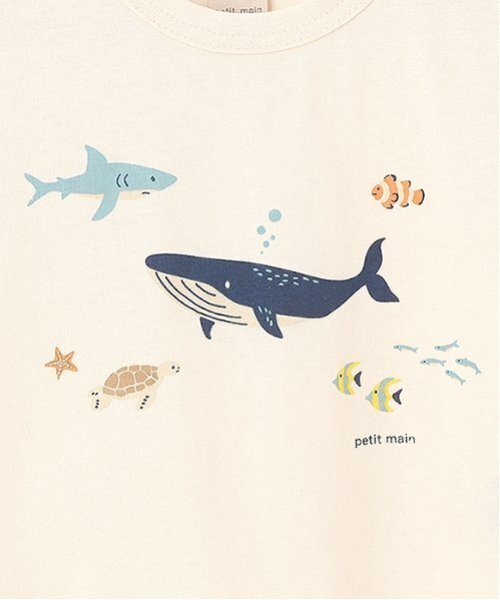 petit main(プティマイン)の「【プティプラ】BOYS半袖Tシャツ(Tシャツ/カットソー・キッズ・シルバーグレー/ネイビー/キャメル/カラフル/ライトグレー/マルチ/アイボリー/クリーム/オフホワイト/ターコイズブルー・90cm/100cm/110cm/80cm/120cm/130cm)」の18枚目の写真