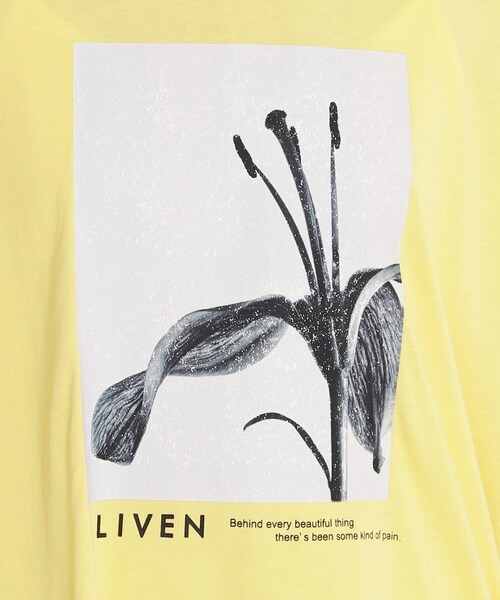 THE SHOP TK （ザ ショップ ティーケー ）の「異素材切替フォトプリントTシャツ【洗える】（Tシャツ/カットソー・レディース・オフホワイト/イエロー系その他/ブラウン系その他・99）」の15枚目の写真