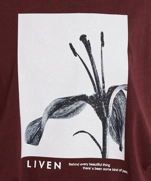 THE SHOP TK （ザ ショップ ティーケー ）の「異素材切替フォトプリントTシャツ【洗える】（Tシャツ/カットソー・レディース・オフホワイト/イエロー系その他/ブラウン系その他・99）」の11枚目の写真