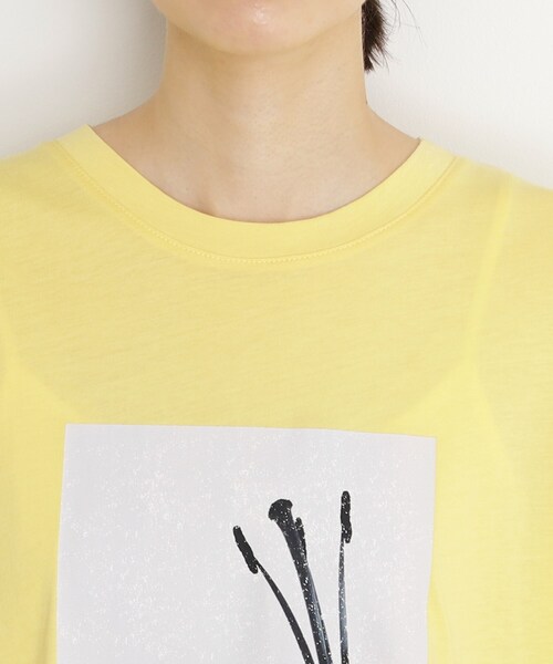 THE SHOP TK （ザ ショップ ティーケー ）の「異素材切替フォトプリントTシャツ【洗える】（Tシャツ/カットソー・レディース・オフホワイト/イエロー系その他/ブラウン系その他・99）」の7枚目の写真
