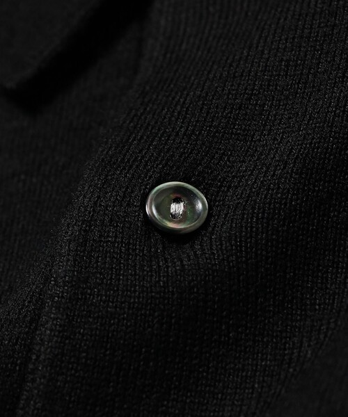 ビームスの百名品】【別注】LACOSTE / ニット ポロシャツ（ニット