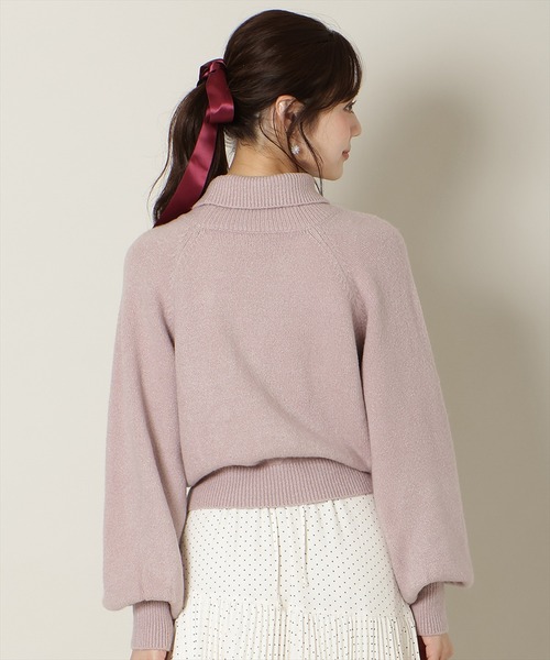 WILLSELECTION（ウィルセレクション）の「ビジューハイネックニット