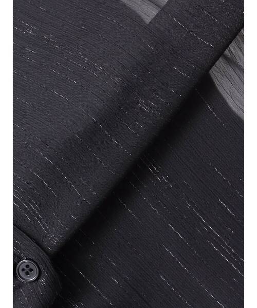 GYDA（ジェイダ）の「SHEERラメショートシャツ（シャツ/ブラウス・レディース・ブラック/オフホワイト/ミント・FREE）」の4枚目の写真