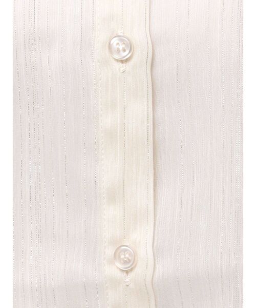 GYDA（ジェイダ）の「SHEERラメショートシャツ（シャツ/ブラウス・レディース・ブラック/オフホワイト/ミント・FREE）」の6枚目の写真