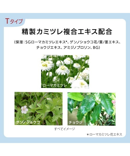 エストG．P． セラムイン ローション T レフィル（化粧水）｜est