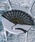 Ellno Loset�i�G���m���[�b�g�j�́ulace design folding fan/���[�X�f�U�C����q�i��q/������j�v�b�u���b�N