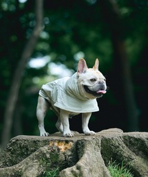 UNIVERSAL OVERALL（ユニバーサルオーバーオール）の「UNIVERSAL OVERALL / UOD / COOL NECK PONCHO / クールネックポンチョ（その他ペットグッズ）」