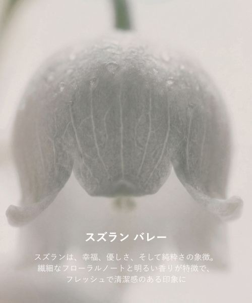 Maison Margiela Fragrances(メゾン マルジェラ フレグランス)の「レプリカ オードトワレ レイジーサンデー モーニング (30mL)(香水・メンズ・その他・FREE)」の9枚目の写真