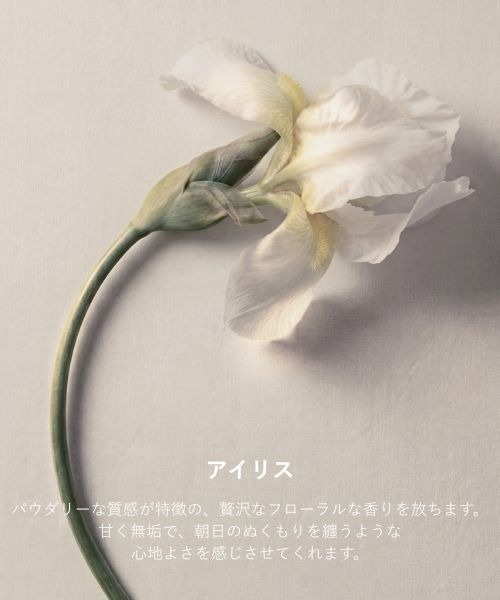 Maison Margiela Fragrances(メゾン マルジェラ フレグランス)の「レプリカ オードトワレ レイジーサンデー モーニング (30mL)(香水・メンズ・その他・FREE)」の10枚目の写真