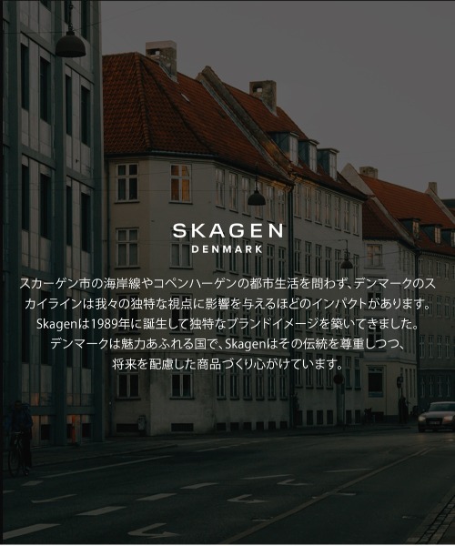 SKAGEN(スカーゲン)の「スカーゲン 腕時計 レディース アナログ ステンレス SKW3166(アナログ腕時計・レディース・ピンクゴールド・FREE)」の11枚目の写真
