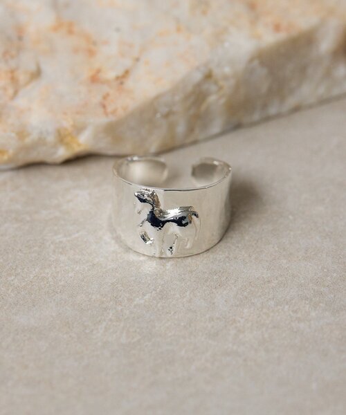 ear PAPILLONNER（イアパピヨネ）の「《WEB＆一部店舗限定》幅広ホースリング（リング・レディース・シルバー/ゴールド・ONE SIZE）」の20枚目の写真