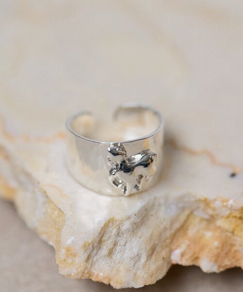 ear PAPILLONNER（イアパピヨネ）の「《WEB＆一部店舗限定》幅広ホースリング（リング・レディース・シルバー/ゴールド・ONE SIZE）」の19枚目の写真
