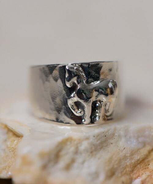 ear PAPILLONNER（イアパピヨネ）の「《WEB＆一部店舗限定》幅広ホースリング（リング・レディース・シルバー/ゴールド・ONE SIZE）」の18枚目の写真