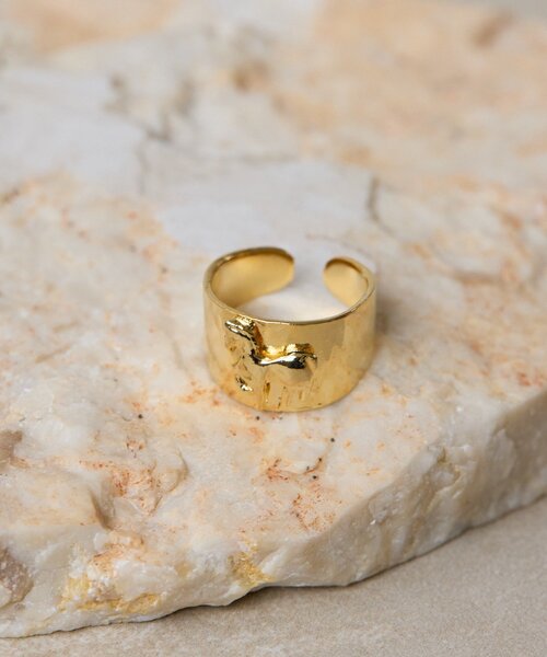 ear PAPILLONNER（イアパピヨネ）の「《WEB＆一部店舗限定》幅広ホースリング（リング・レディース・シルバー/ゴールド・ONE SIZE）」の11枚目の写真
