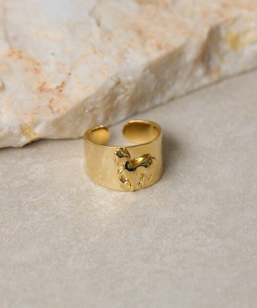 ear PAPILLONNER（イアパピヨネ）の「《WEB＆一部店舗限定》幅広ホースリング（リング・レディース・シルバー/ゴールド・ONE SIZE）」の10枚目の写真