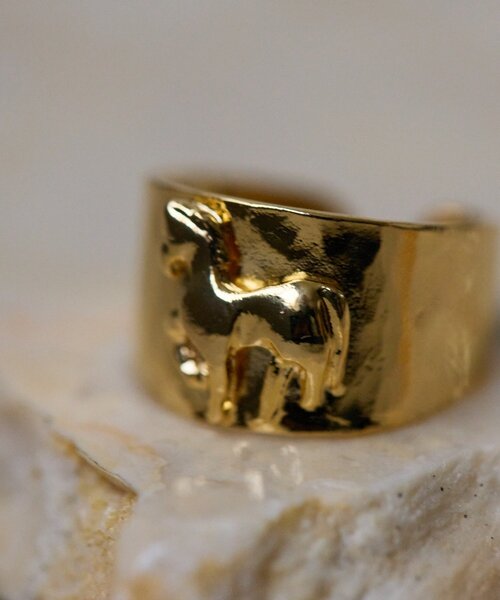 ear PAPILLONNER（イアパピヨネ）の「《WEB＆一部店舗限定》幅広ホースリング（リング・レディース・シルバー/ゴールド・ONE SIZE）」の8枚目の写真