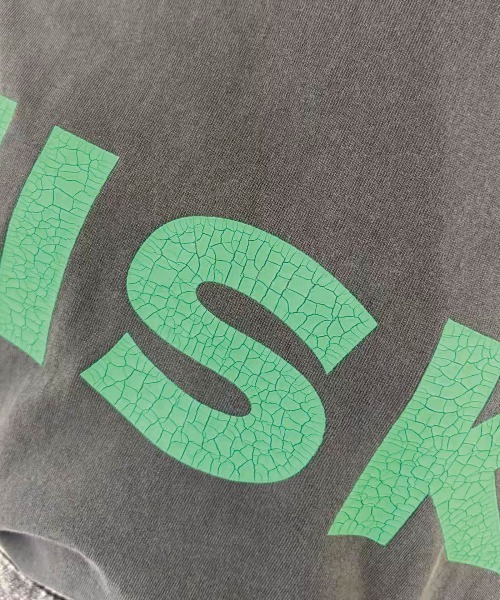 Lots of Love（ロッツオブラブ）の「ピグメントFISKクロップドTシャツ（Tシャツ/カットソー・レディース・ネイビー/ミント/ベージュ/チャコールグレー/オレンジ・FREE）」の18枚目の写真