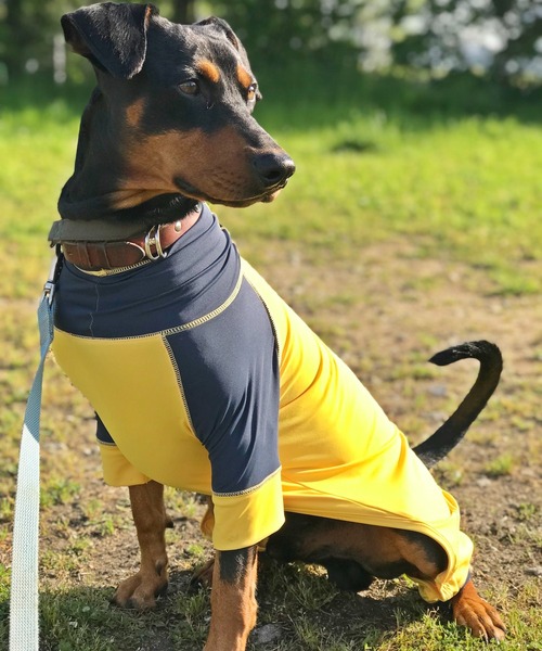 【GREEN BOWL】ストレッチ カバーオール・ロンパース・つなぎ / 犬服 / ドッグウェア/ 中型・大型犬 (胴回り59cm)（ペットウェア）｜GREEN BOWL（グリーンボウル）